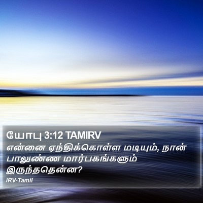 யோபு 3:12 TAMIRV Bible Verse Image