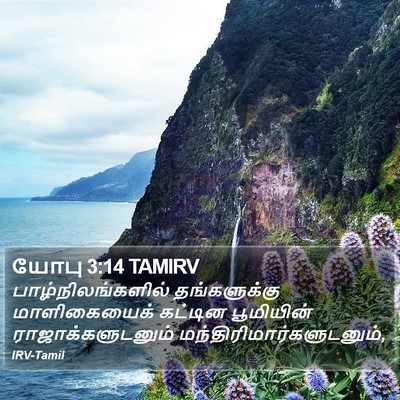 யோபு 3:14 TAMIRV Bible Verse Image