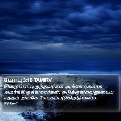 யோபு 3:18 TAMIRV Bible Verse Image