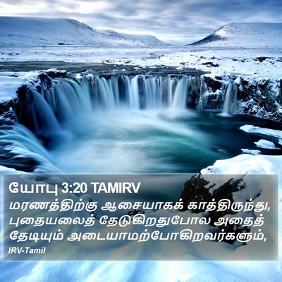 யோபு 3:20 TAMIRV Bible Verse Image