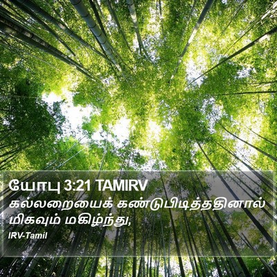 யோபு 3:21 TAMIRV Bible Verse Image