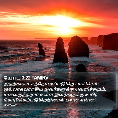 யோபு 3:22 TAMIRV Bible Verse Image