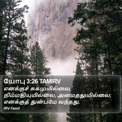 யோபு 3:26 TAMIRV Bible Verse Image