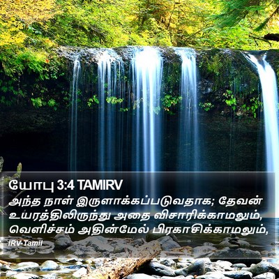 யோபு 3:4 TAMIRV Bible Verse Image