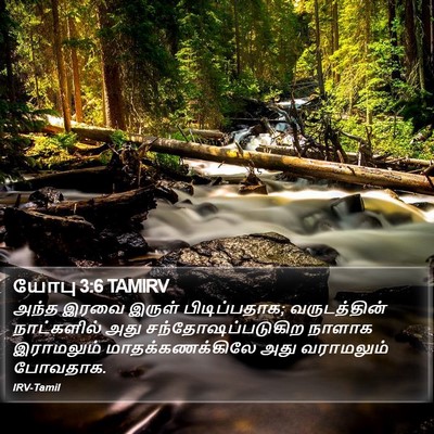 யோபு 3:6 TAMIRV Bible Verse Image