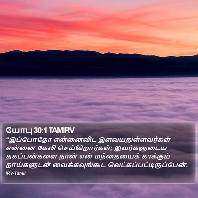 யோபு 30:1 TAMIRV Bible Verse Image