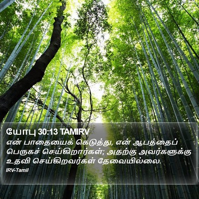 யோபு 30:13 TAMIRV Bible Verse Image