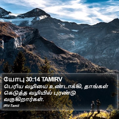 யோபு 30:14 TAMIRV Bible Verse Image