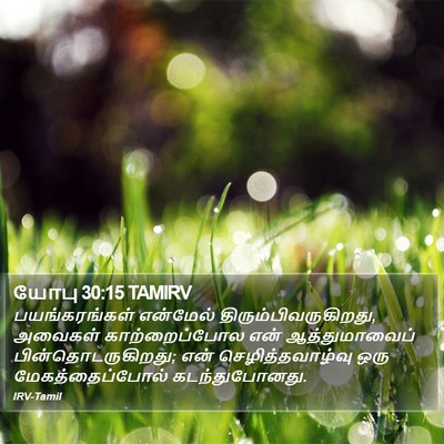 யோபு 30:15 TAMIRV Bible Verse Image