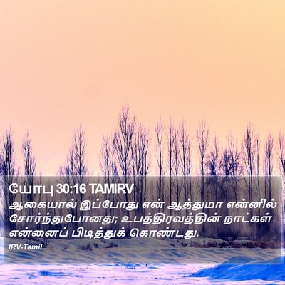 யோபு 30:16 TAMIRV Bible Verse Image