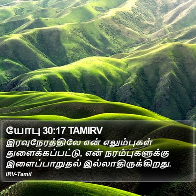 யோபு 30:17 TAMIRV Bible Verse Image