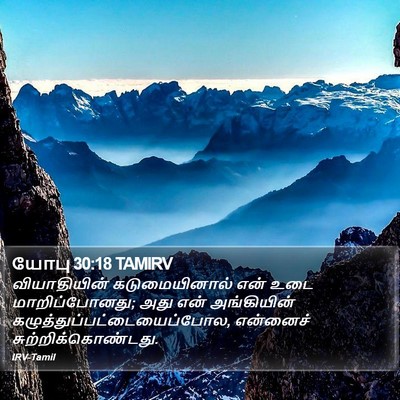 யோபு 30:18 TAMIRV Bible Verse Image