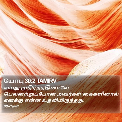யோபு 30:2 TAMIRV Bible Verse Image