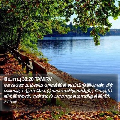 யோபு 30:20 TAMIRV Bible Verse Image