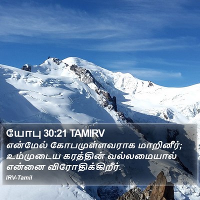 யோபு 30:21 TAMIRV Bible Verse Image