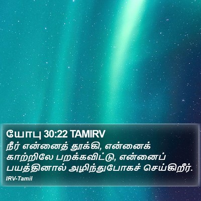 யோபு 30:22 TAMIRV Bible Verse Image