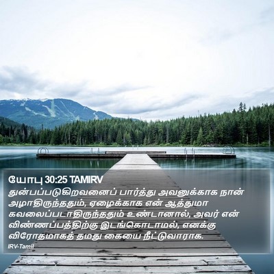 யோபு 30:25 TAMIRV Bible Verse Image