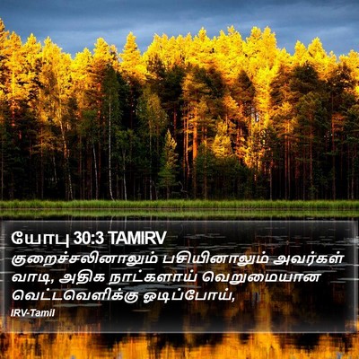 யோபு 30:3 TAMIRV Bible Verse Image