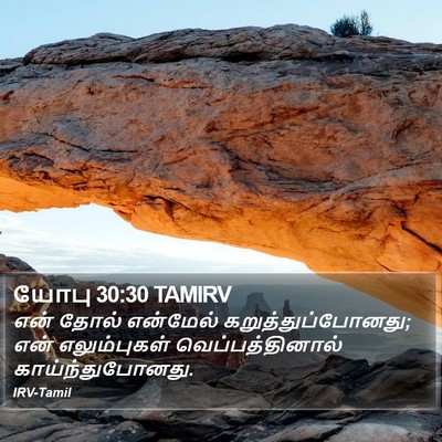 யோபு 30:30 TAMIRV Bible Verse Image