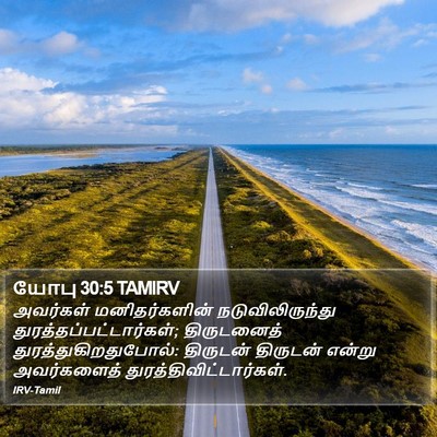 யோபு 30:5 TAMIRV Bible Verse Image