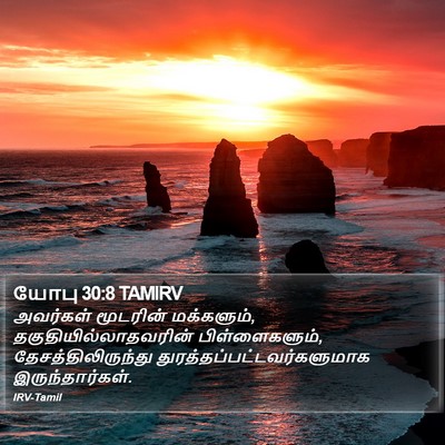 யோபு 30:8 TAMIRV Bible Verse Image
