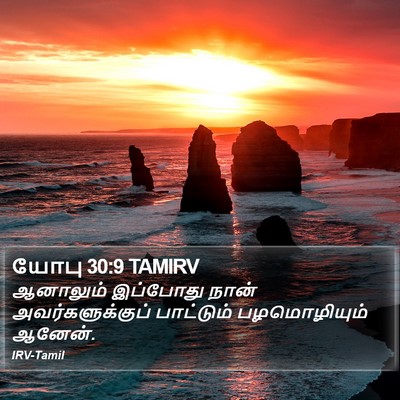 யோபு 30:9 TAMIRV Bible Verse Image