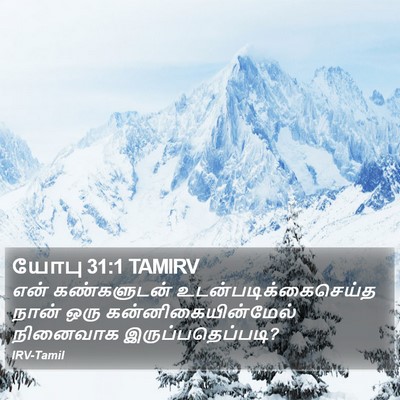 யோபு 31:1 TAMIRV Bible Verse Image