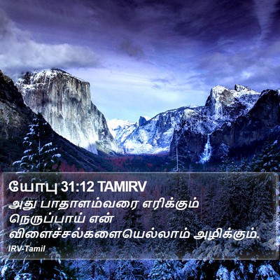யோபு 31:12 TAMIRV Bible Verse Image