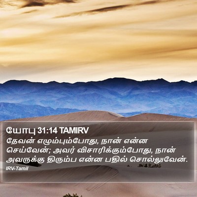 யோபு 31:14 TAMIRV Bible Verse Image