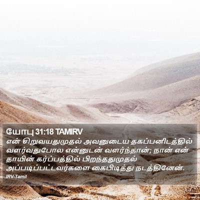 யோபு 31:18 TAMIRV Bible Verse Image