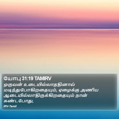 யோபு 31:19 TAMIRV Bible Verse Image