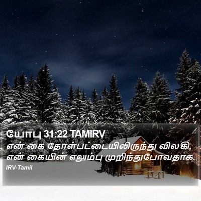 யோபு 31:22 TAMIRV Bible Verse Image