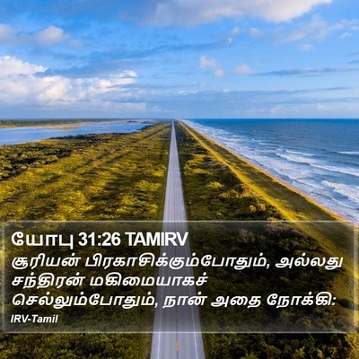 யோபு 31:26 TAMIRV Bible Verse Image