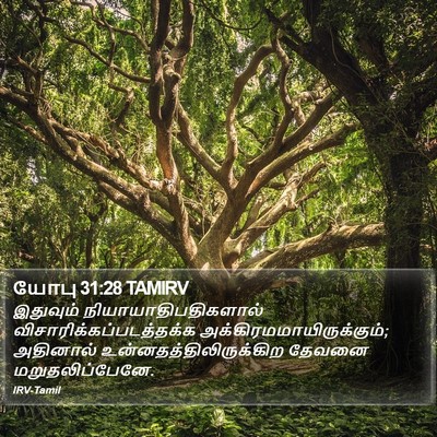யோபு 31:28 TAMIRV Bible Verse Image