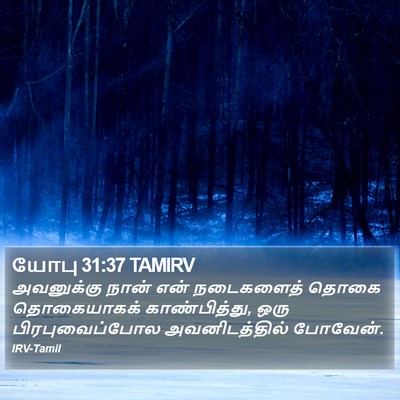 யோபு 31:37 TAMIRV Bible Verse Image
