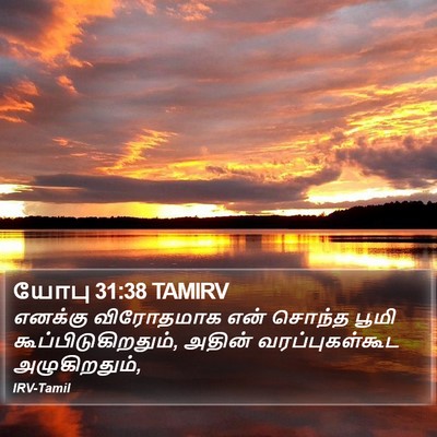 யோபு 31:38 TAMIRV Bible Verse Image