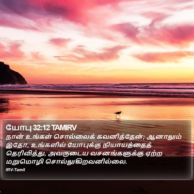 யோபு 32:12 TAMIRV Bible Verse Image