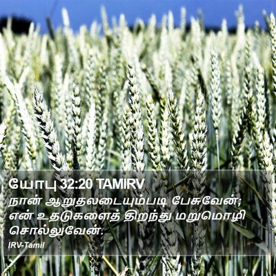 யோபு 32:20 TAMIRV Bible Verse Image