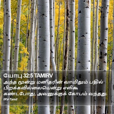 யோபு 32:5 TAMIRV Bible Verse Image