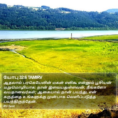 யோபு 32:6 TAMIRV Bible Verse Image
