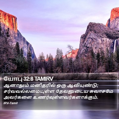 யோபு 32:8 TAMIRV Bible Verse Image