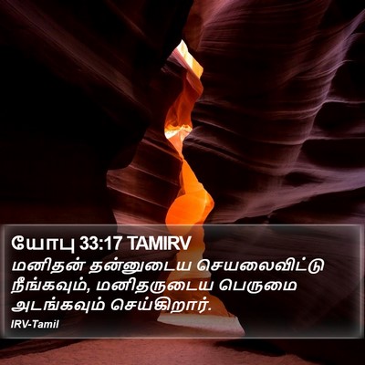 யோபு 33:17 TAMIRV Bible Verse Image