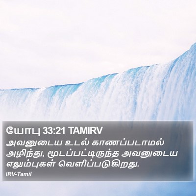 யோபு 33:21 TAMIRV Bible Verse Image