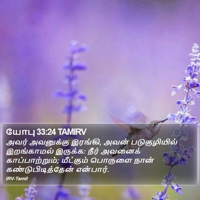 யோபு 33:24 TAMIRV Bible Verse Image