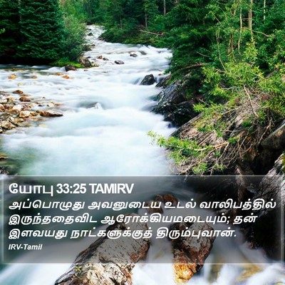 யோபு 33:25 TAMIRV Bible Verse Image