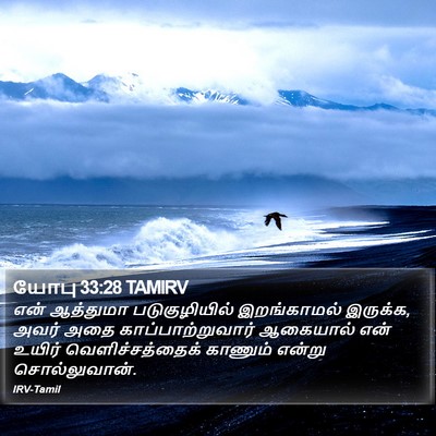 யோபு 33:28 TAMIRV Bible Verse Image
