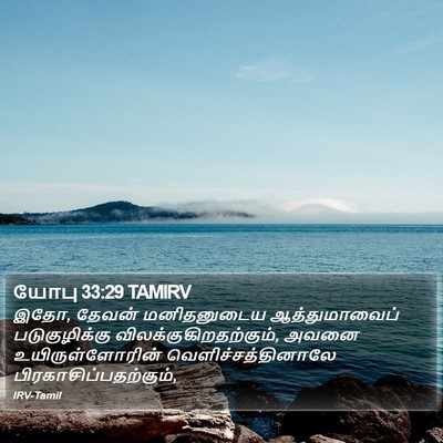 யோபு 33:29 TAMIRV Bible Verse Image
