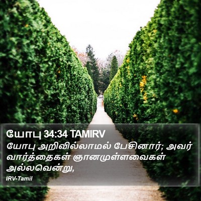யோபு 34:34 TAMIRV Bible Verse Image