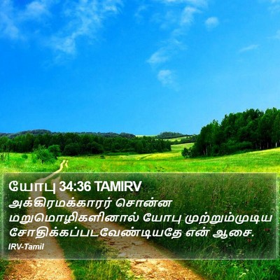 யோபு 34:36 TAMIRV Bible Verse Image