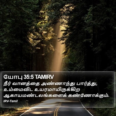 யோபு 35:5 TAMIRV Bible Verse Image